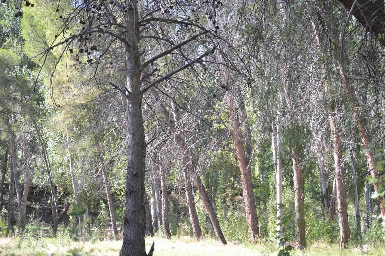 Lodge Bosque Divino Cabañas&suites *