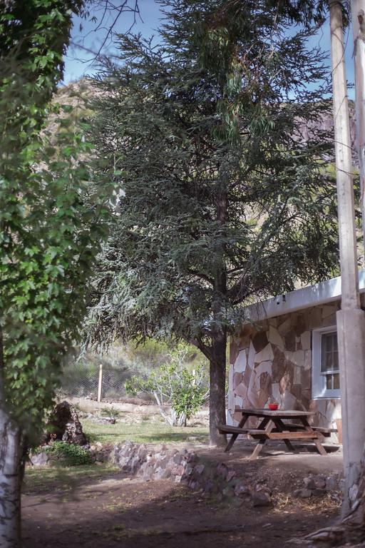 Lodge Bosque Divino Cabañas&suites *