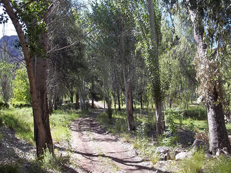 Bosque Divino Cabañas&suites * Valle Grande (Mendoza)